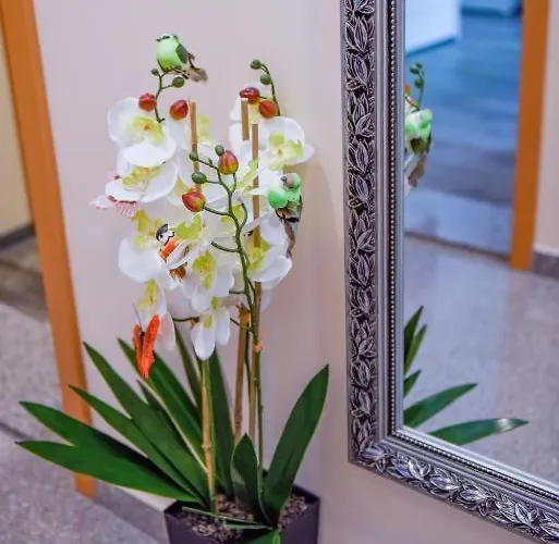 Modernes 1a Appartement Dortmund